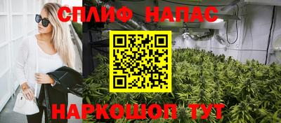 apvp Пугачёв