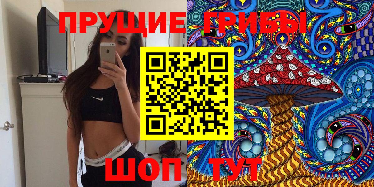 Псилоцибиновые грибы Psilocybe Новокубанск