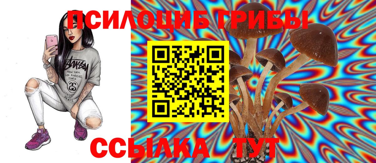 Новокубанск  цены наркотик  Вход с VPN  Галлюциногенные грибы Cubensis 